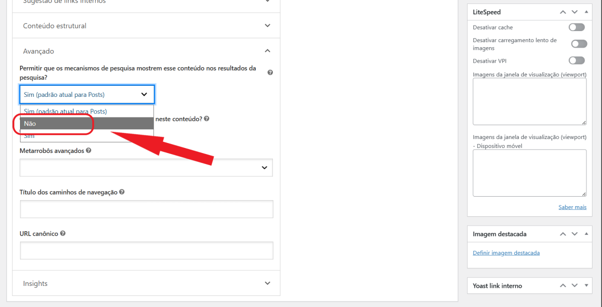 Como aplicar Noindex WordPress